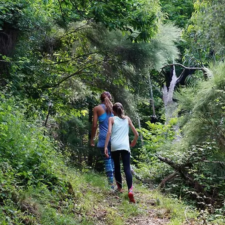 Casa Cima Nyaraló *